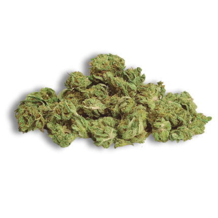 Lemon Haze – Small Buds